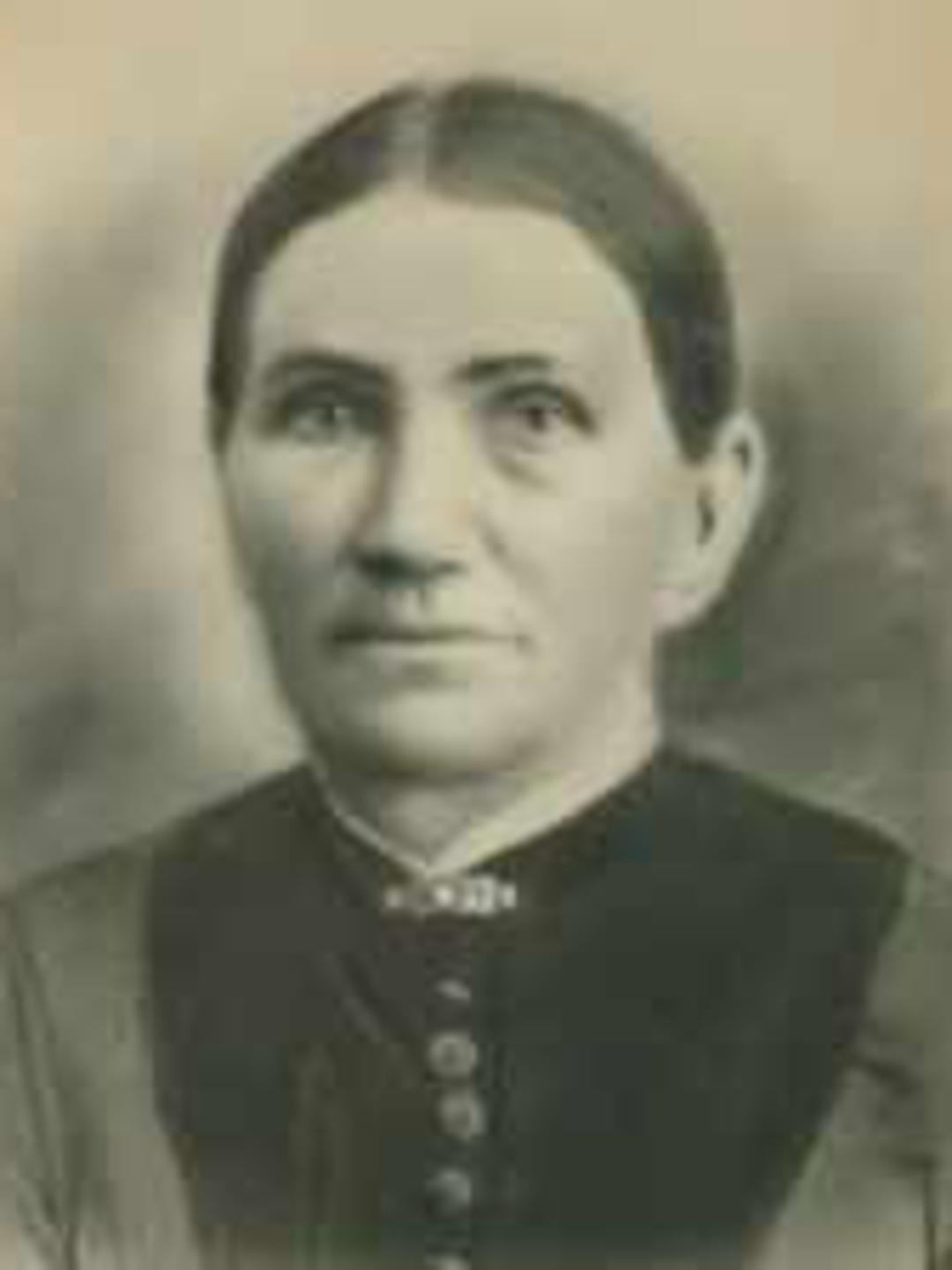 Elizabeth Kummer (1834 - 1898) Profile